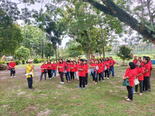 recent-project-img-1